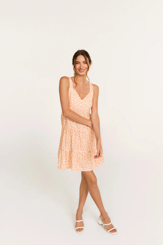 Dailystory Gigi Dress