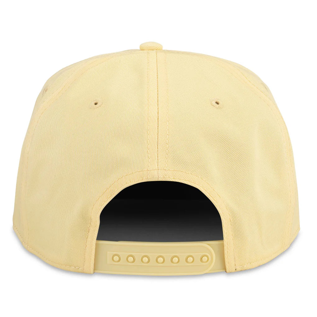 American Needle Roscoe Hat Tom Petty
