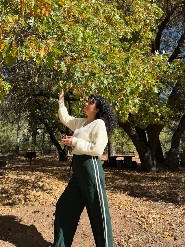 Z Supply Saunder Track Pant