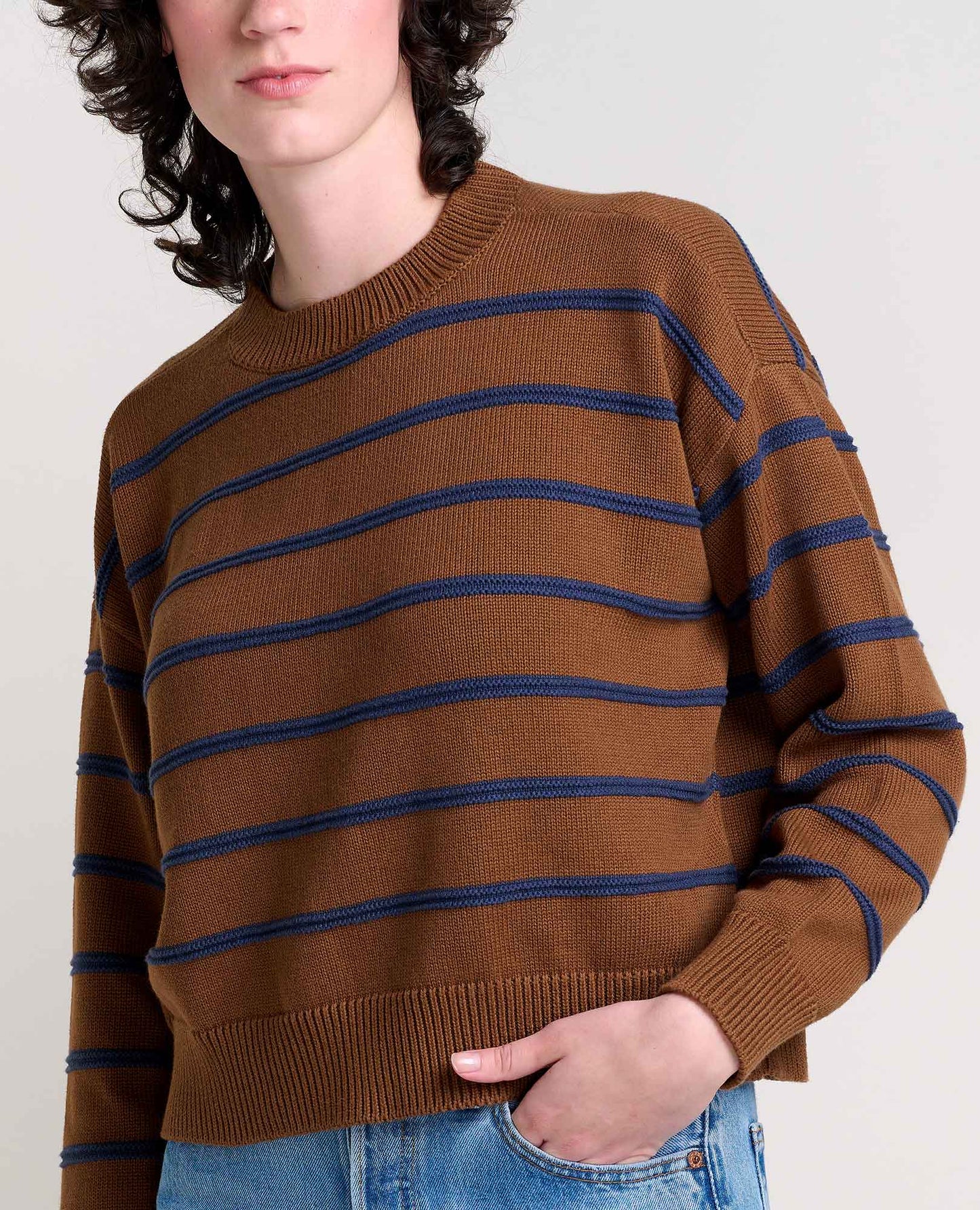 Toad & Co Brown Sugar Stripe Bianca II Crew Sweater