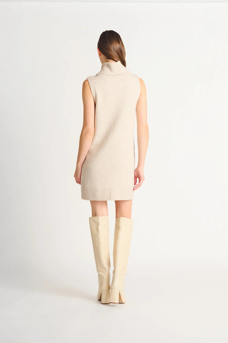 Dex Sleeveless Turtleneck Dress
