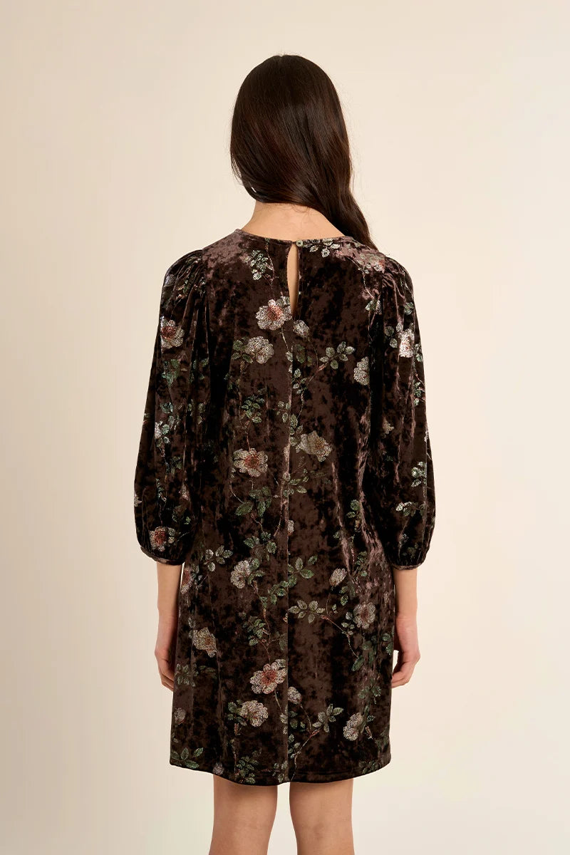 Molly Bracken Maren Velvet Dress