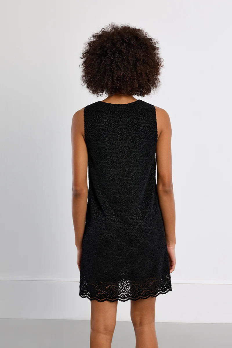 Molly Bracken Mara Velvet Mini Dress