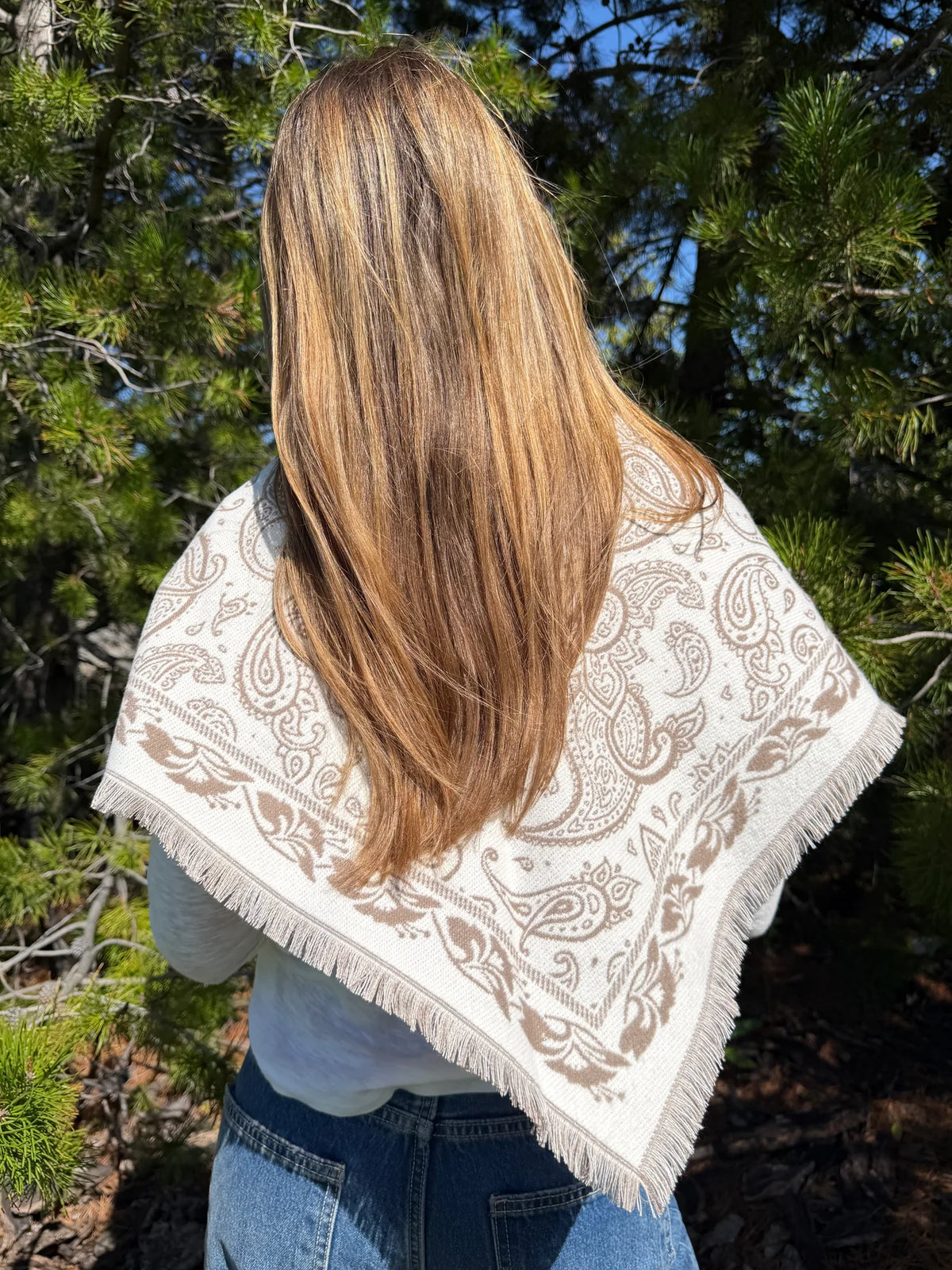C'est Moi Triangle Paisley Print Reversible Shawl Scarf