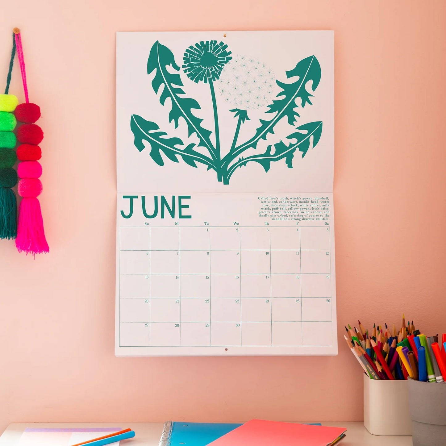 Banquet 2027 Calendar- Medicinal Plants