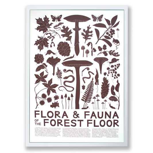 Banquet Flora & Fauna: Forest Floor Screeprint