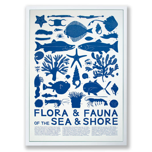 Banquet Flora & Fauna: Sea & Shore Screenprint