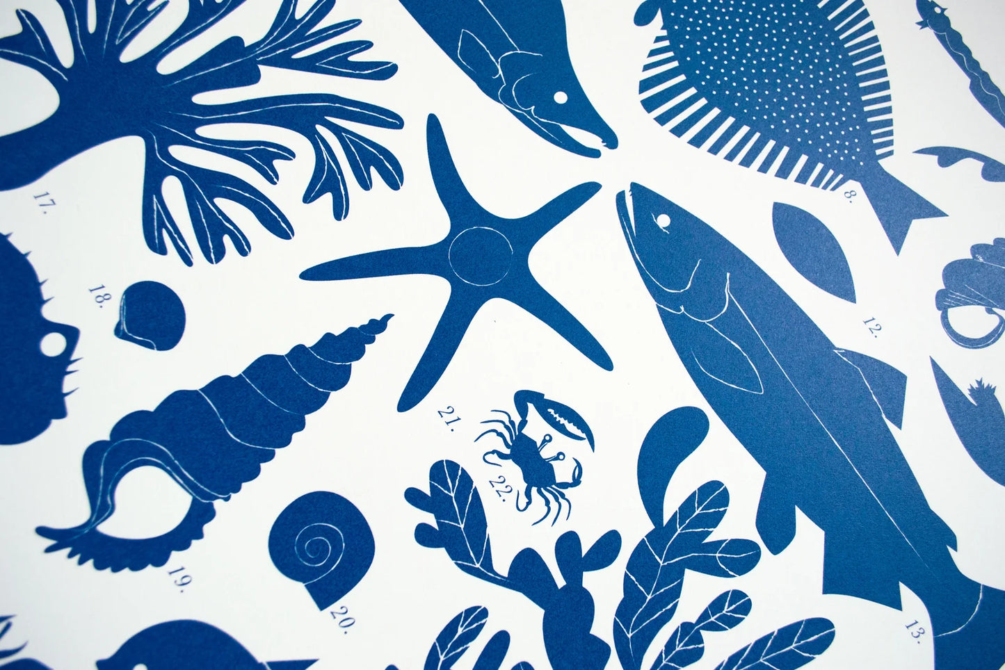 Banquet Flora & Fauna: Sea & Shore Screenprint