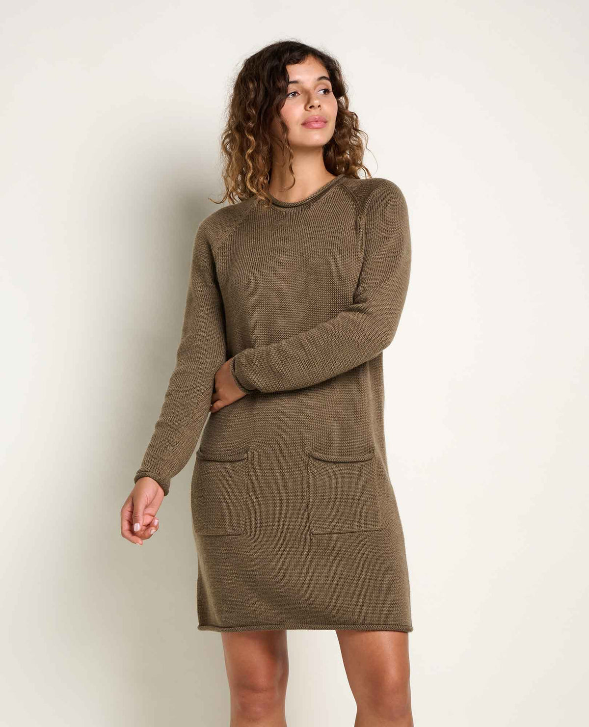 Toad & Co Alpineglo Sweater Dress