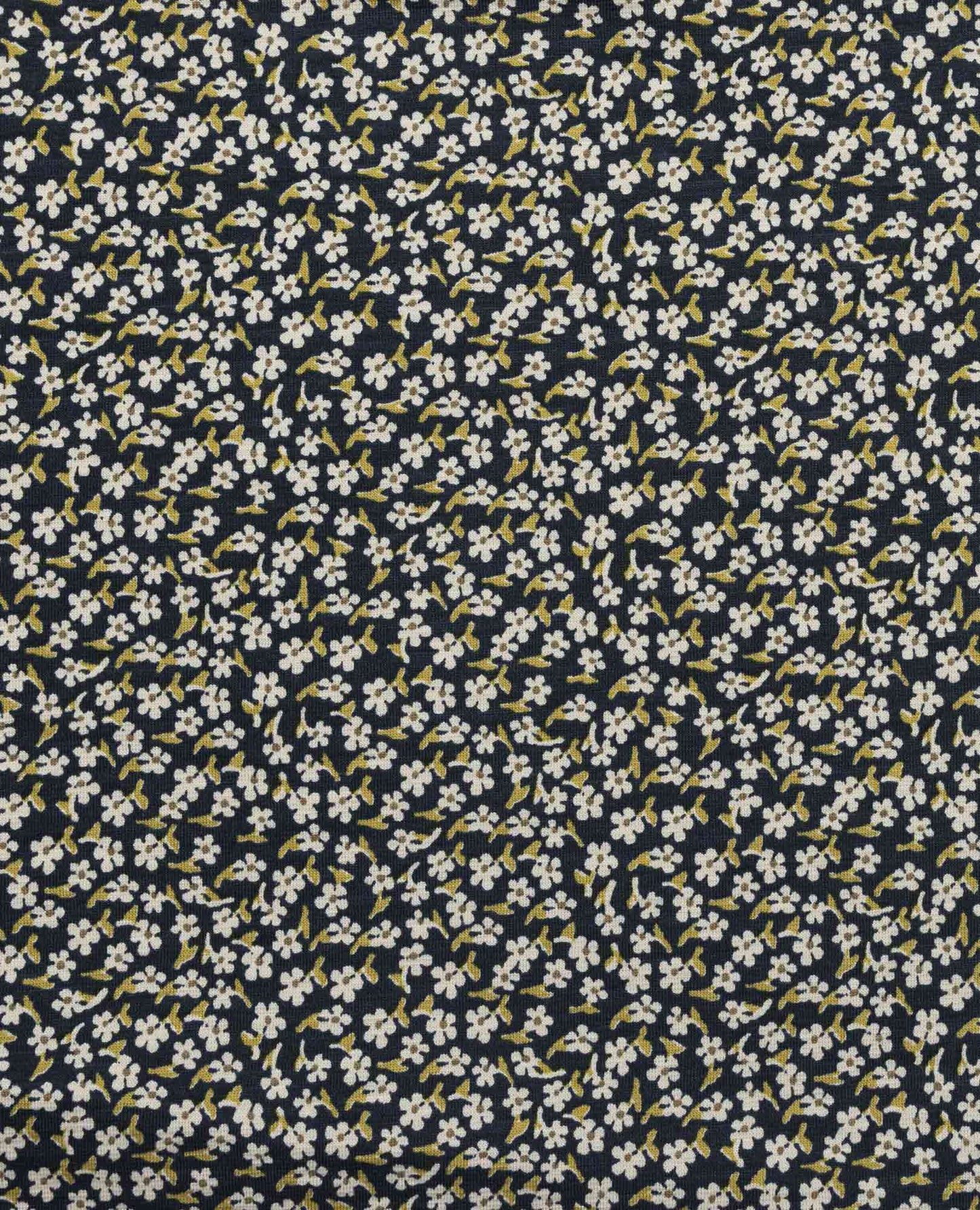 Toad & Co Rosemarie Dress