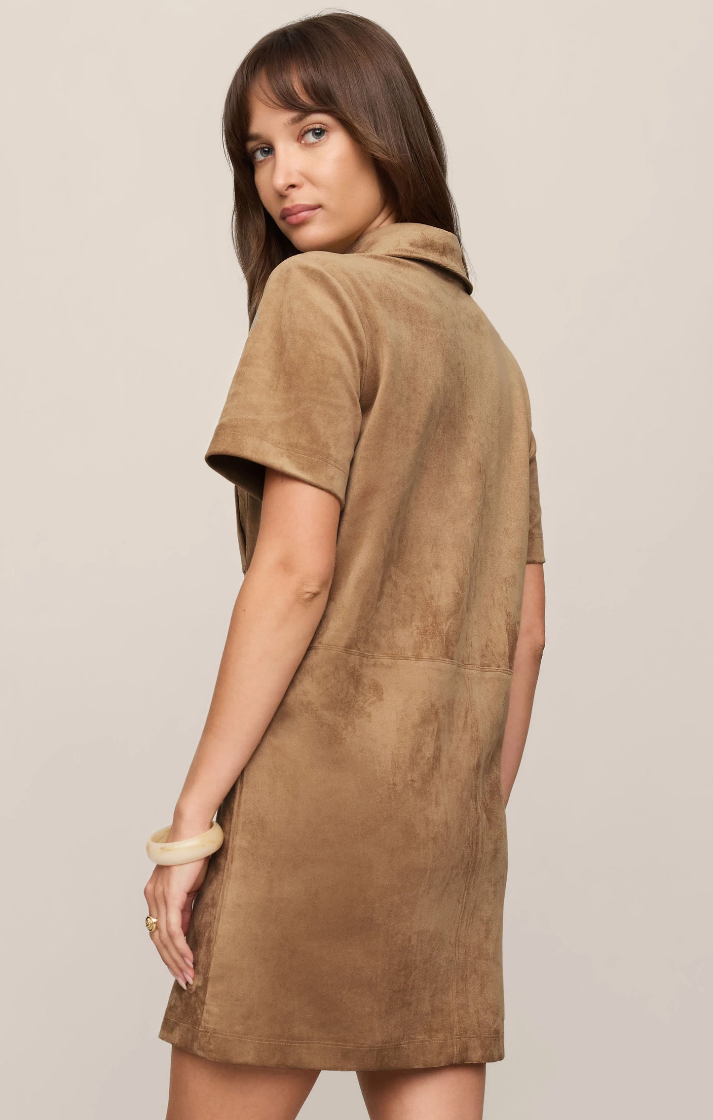 Z Supply Leone Suede Mini Dress