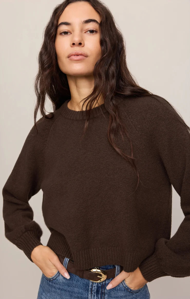 Z Supply Coming Up Sweater