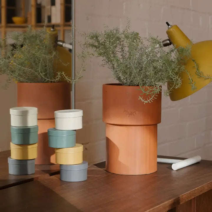 Field Kit The Arborist Tin Candle - Pine + Pepper