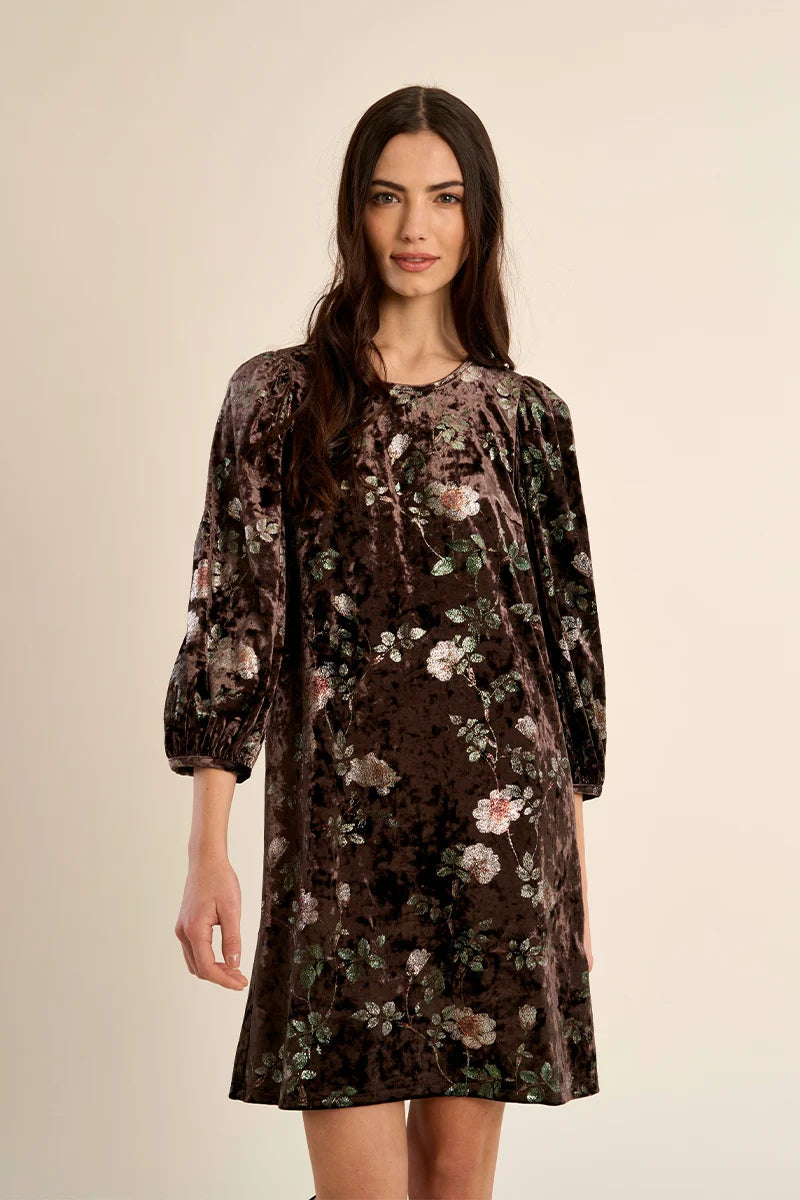 Molly Bracken Maren Velvet Dress