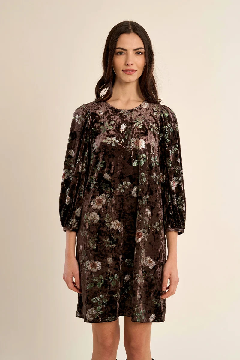 Molly Bracken Maren Velvet Dress