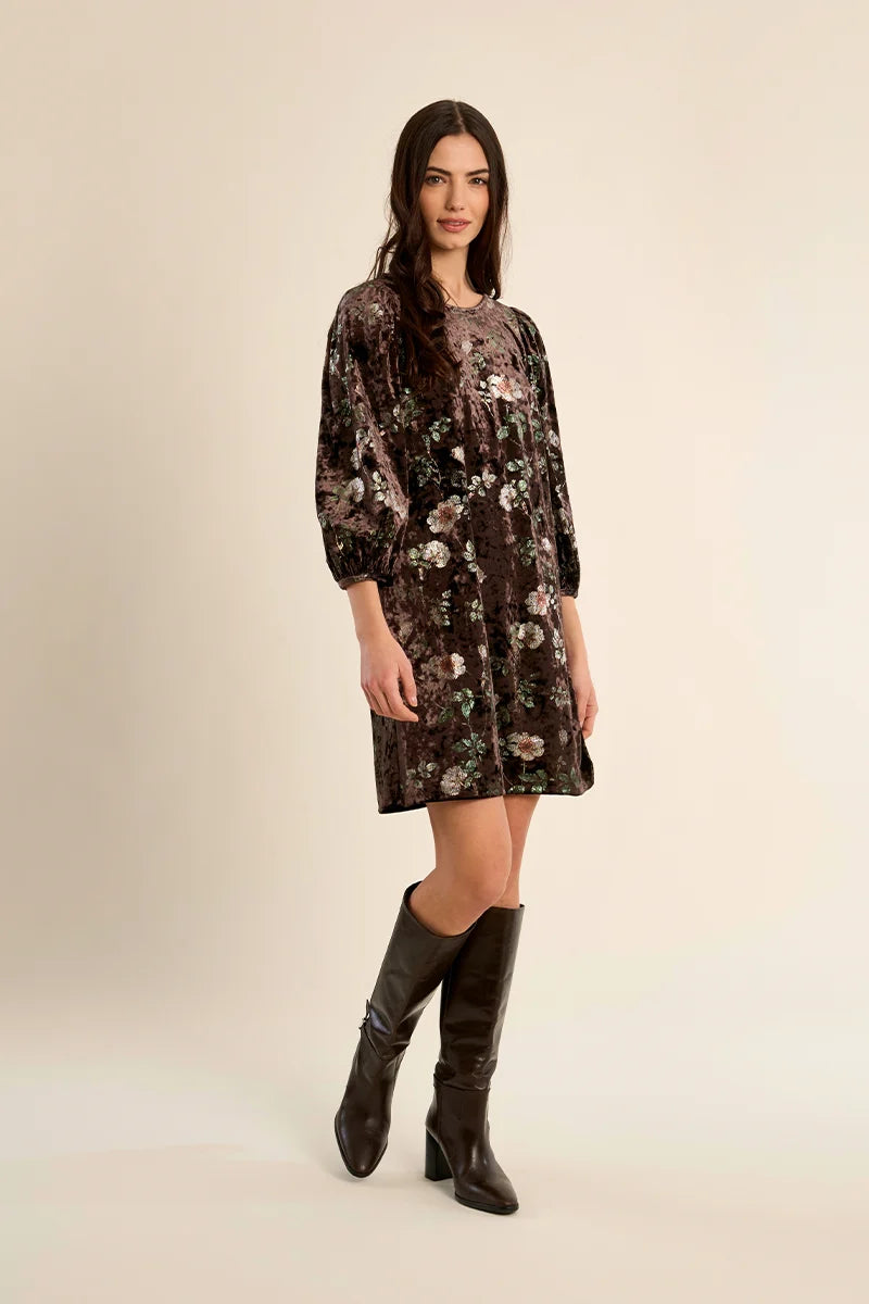 Molly Bracken Maren Velvet Dress