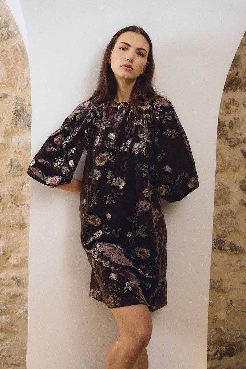 Molly Bracken Maren Velvet Dress