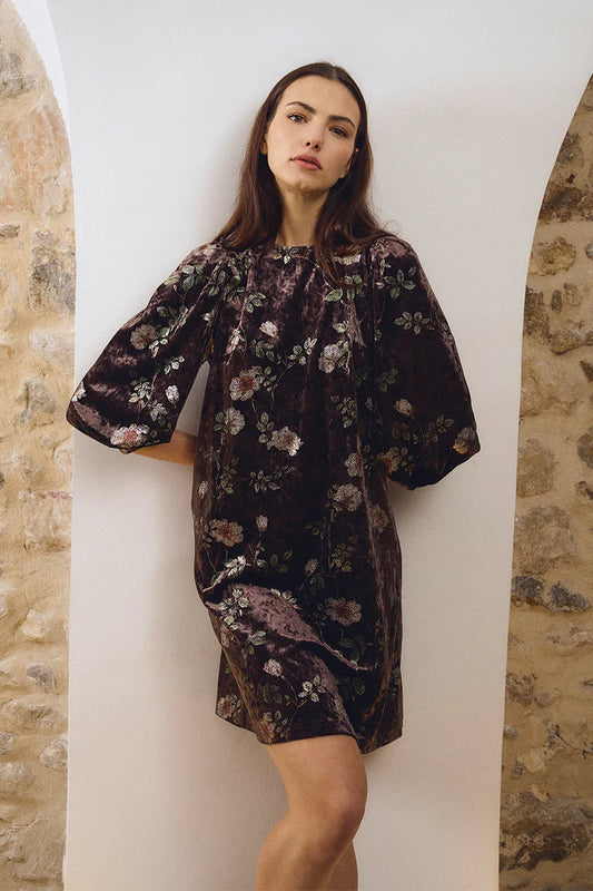 Molly Bracken Maren Velvet Dress